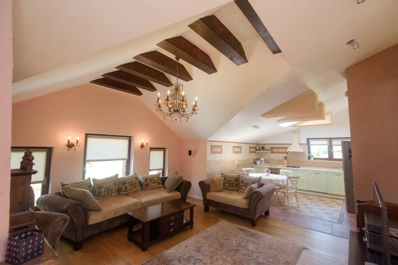 Apartment Vila Ramona Otopeni Romania